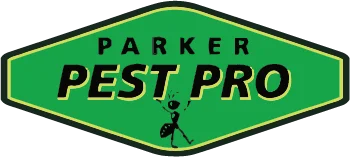 Professional pest control technician conducting home inspection
